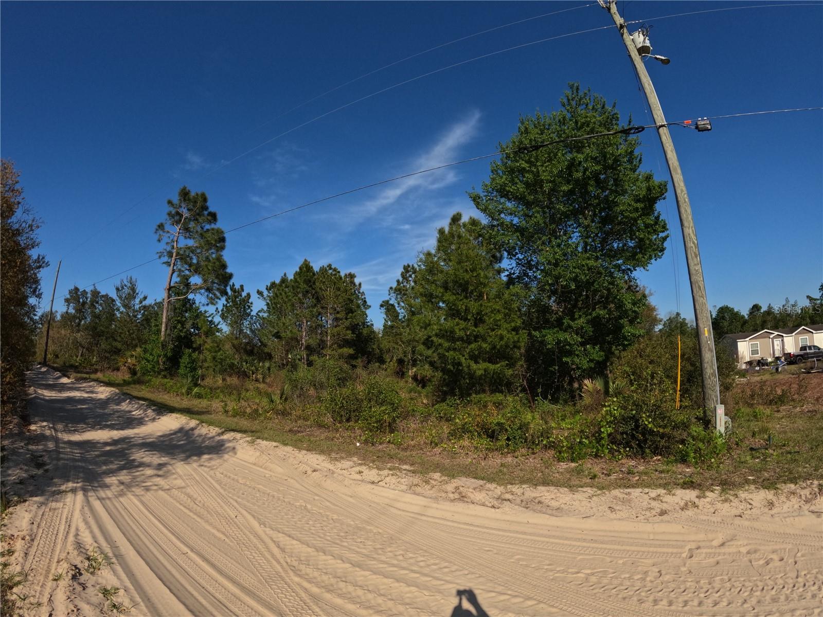 Image 13 of 14 For 43718 Cooter Pond Road