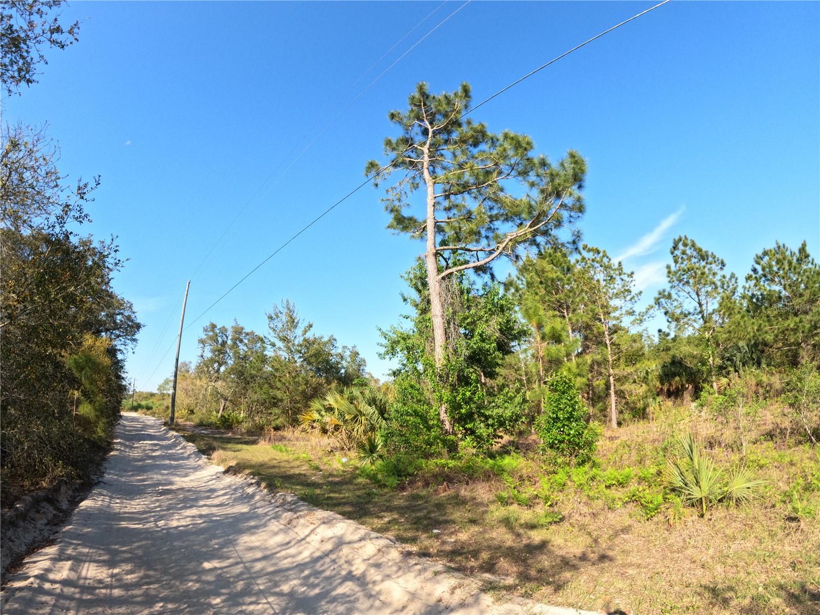 Image 3 of 14 For 43718 Cooter Pond Road