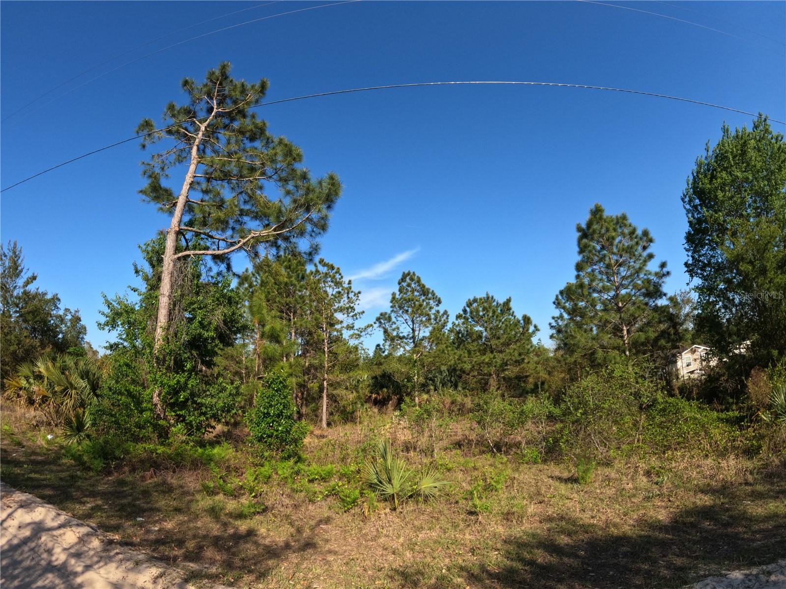 Image 4 of 14 For 43718 Cooter Pond Road