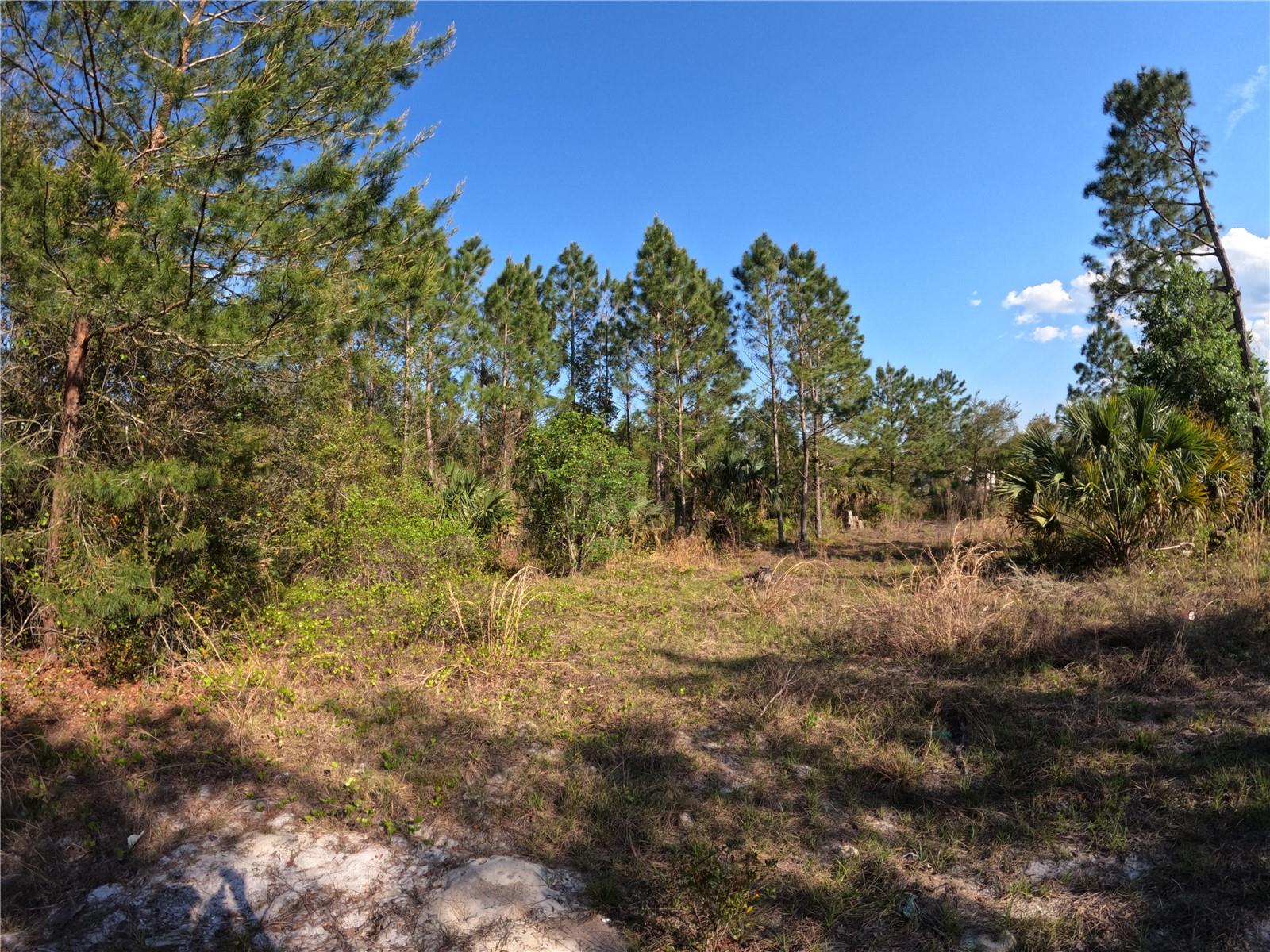 Image 6 of 14 For 43718 Cooter Pond Road