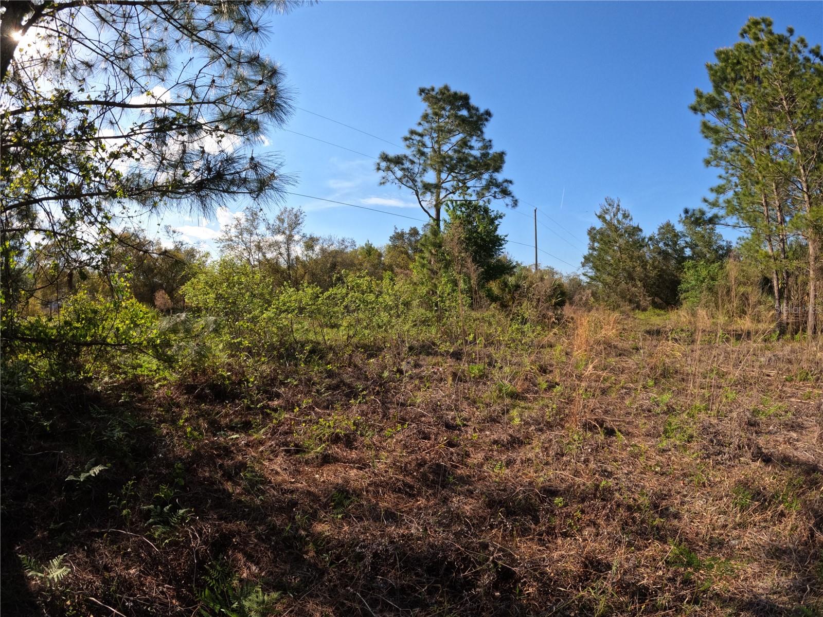 Image 8 of 14 For 43718 Cooter Pond Road