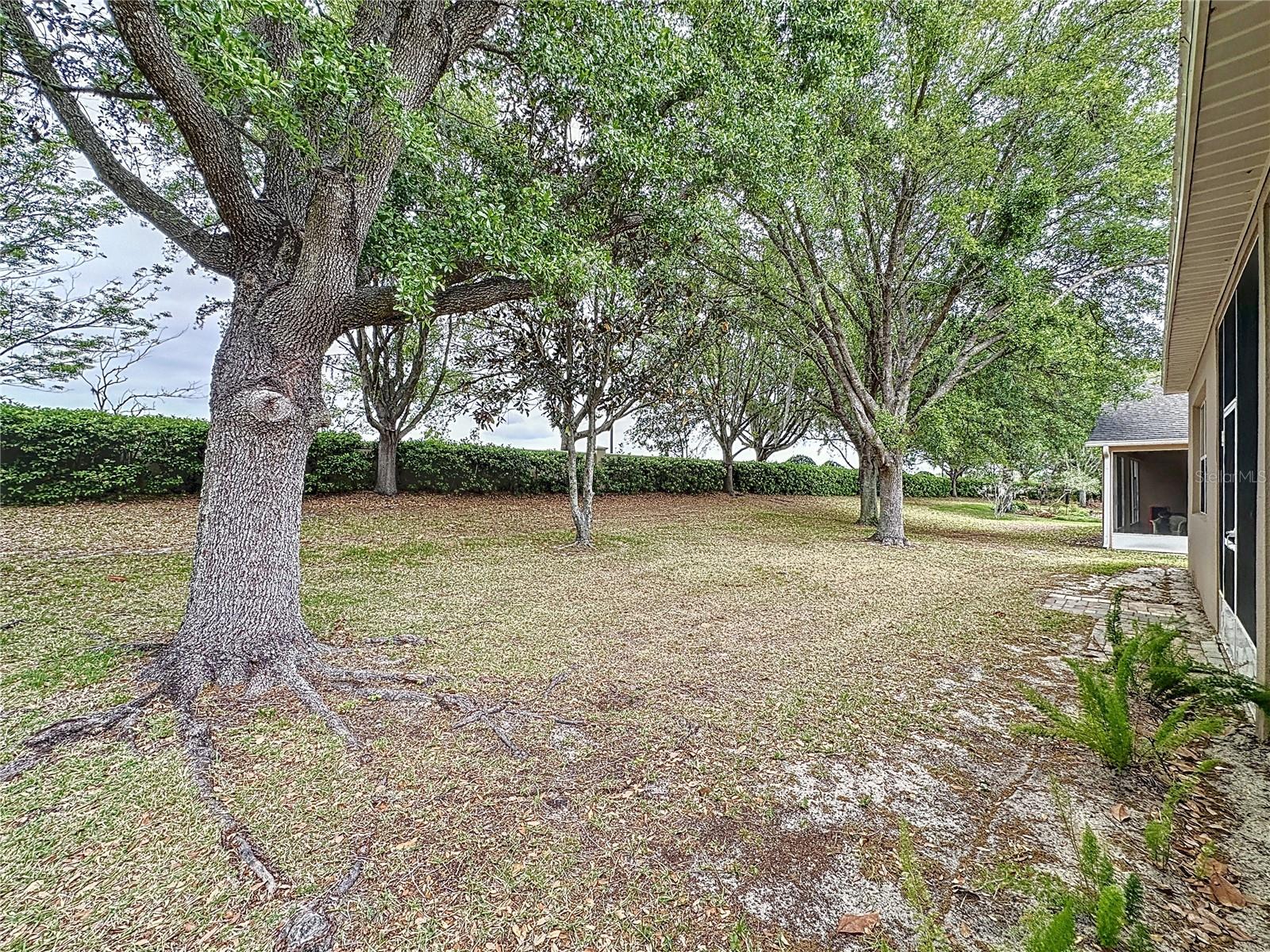 Image 48 of 77 For 135 Crepe Myrtle Drive