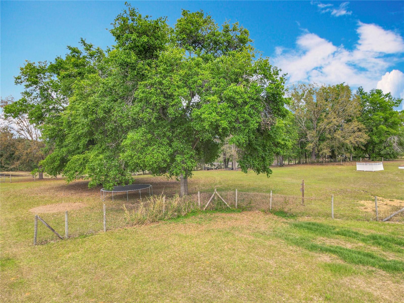 Image 58 of 70 For 13013 County Road 561a