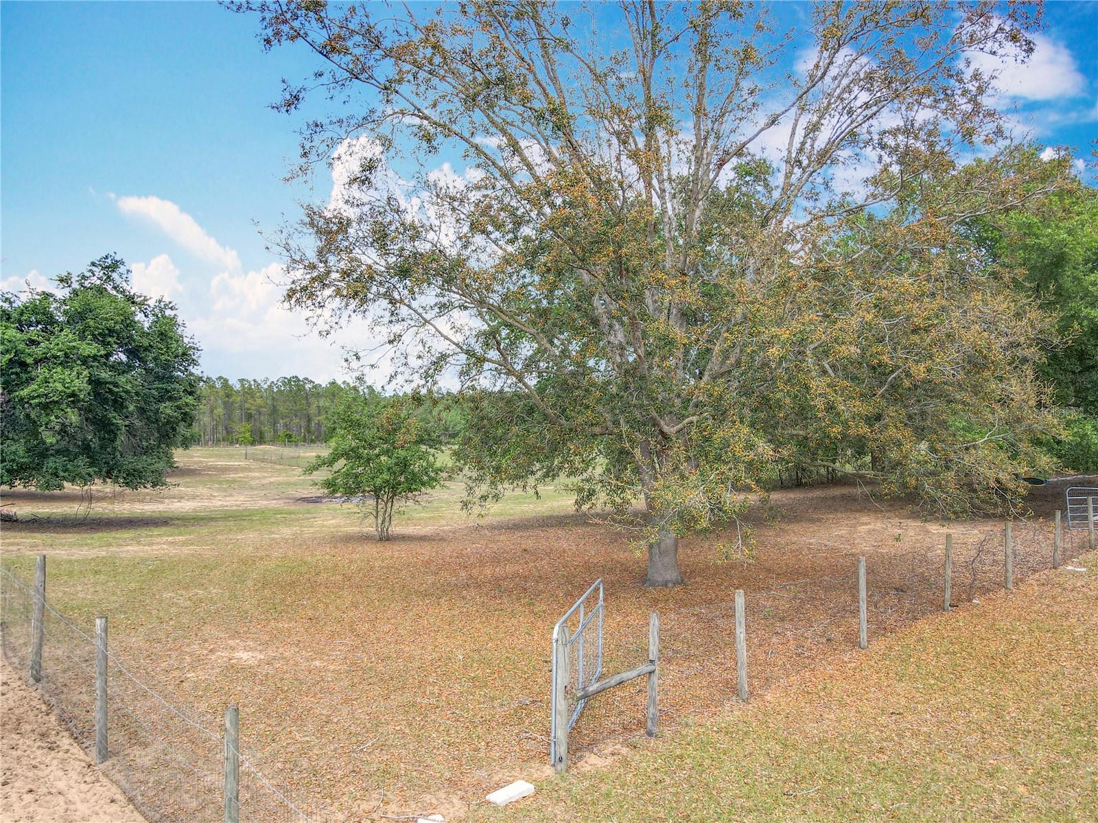 Image 59 of 70 For 13013 County Road 561a