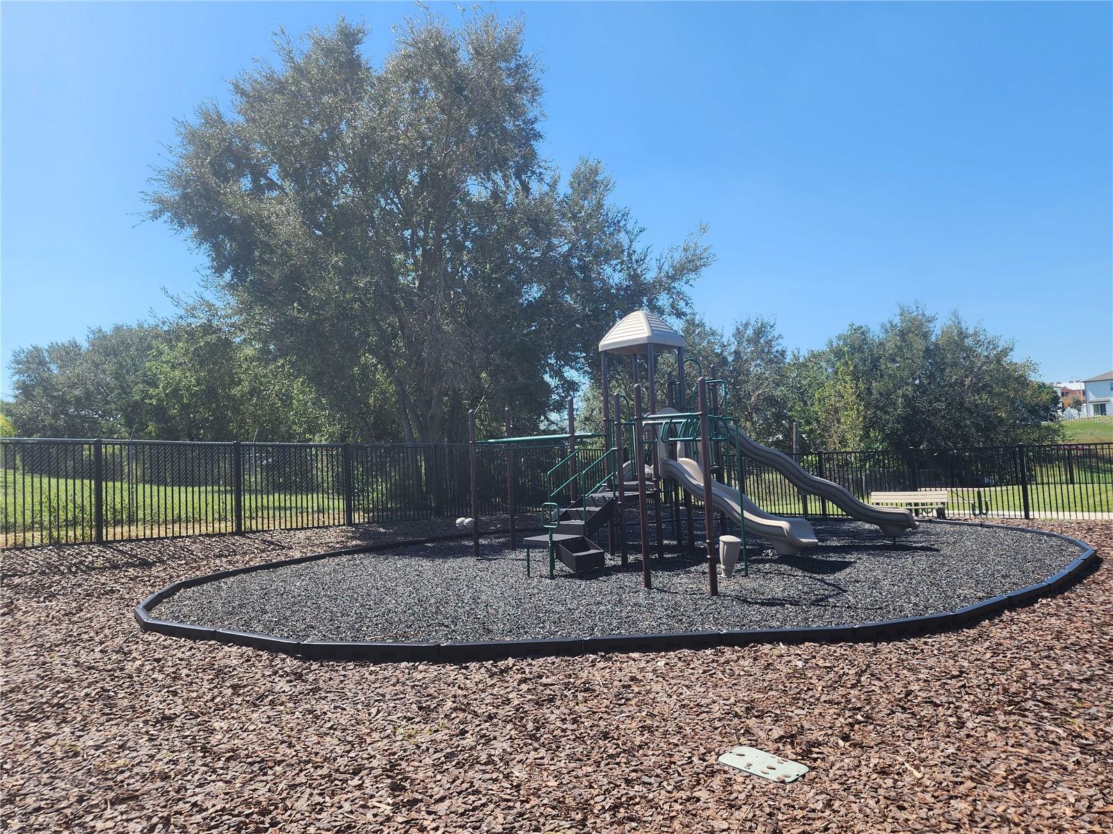 Image 21 of 21 For 811 Grandin Street