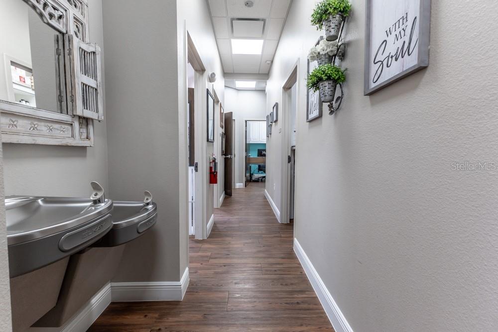 Image 3 of 57 For 809 County Road 466  202c