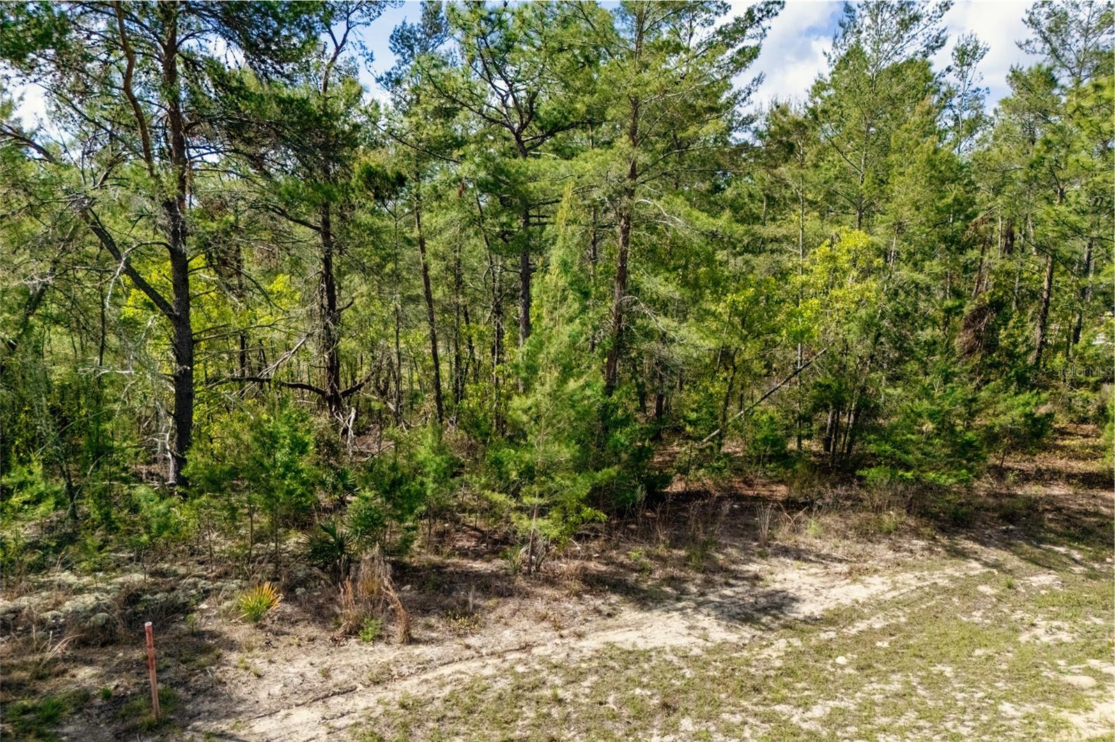 Image 6 of 11 For  41st Circle 
