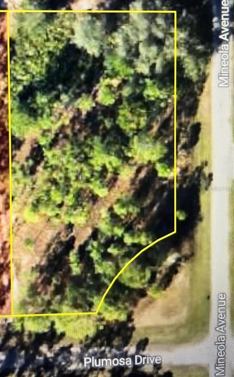 Details for 3250 Plumosa Drive, INDIAN LAKE ESTATES, FL 33855