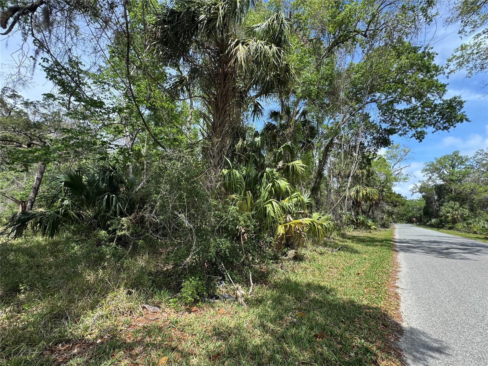Details for 11905 Eldred Lane, HOMOSASSA, FL 34448