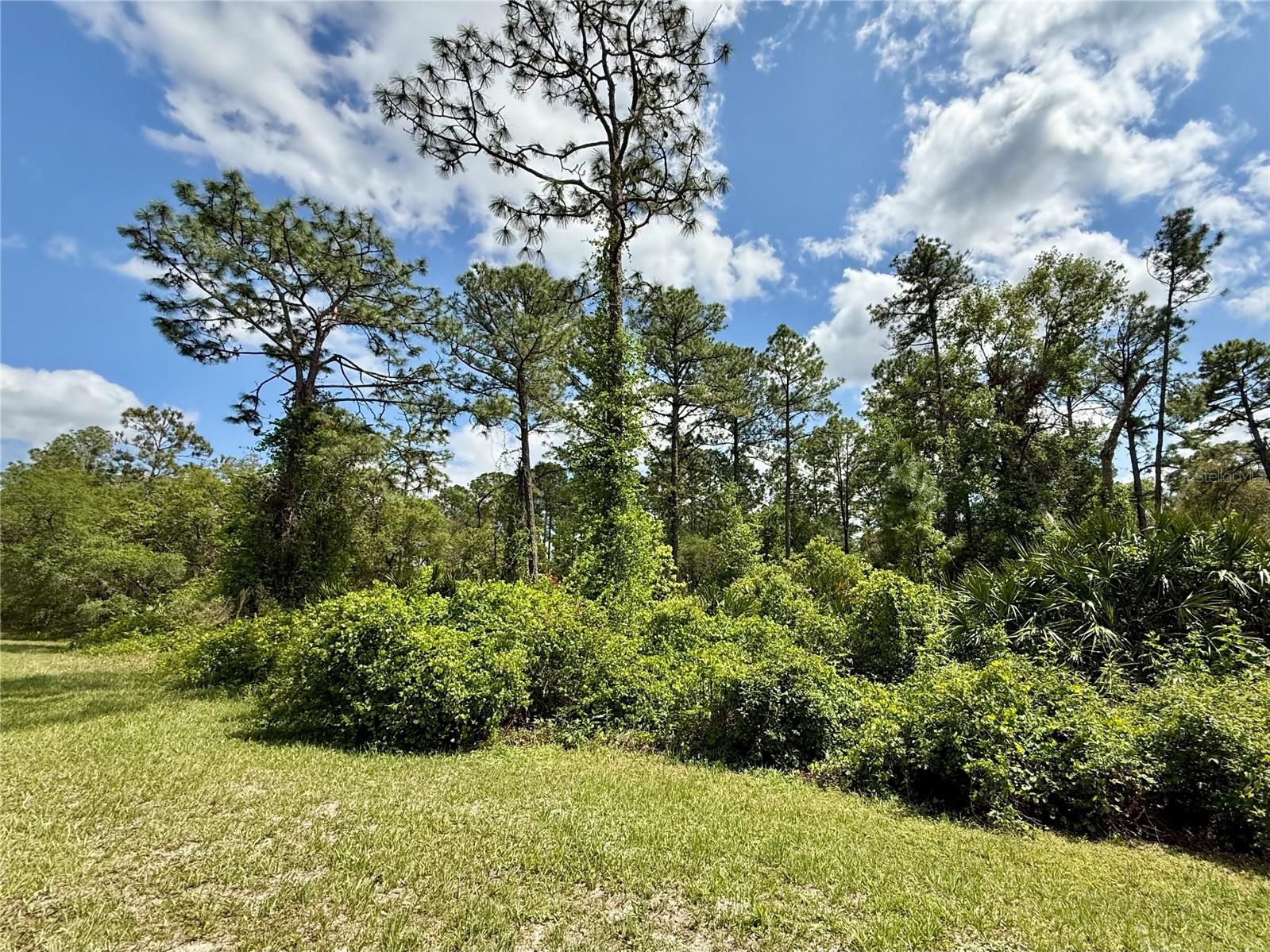 Image 10 of 22 For Lot 2 Quince Avenue