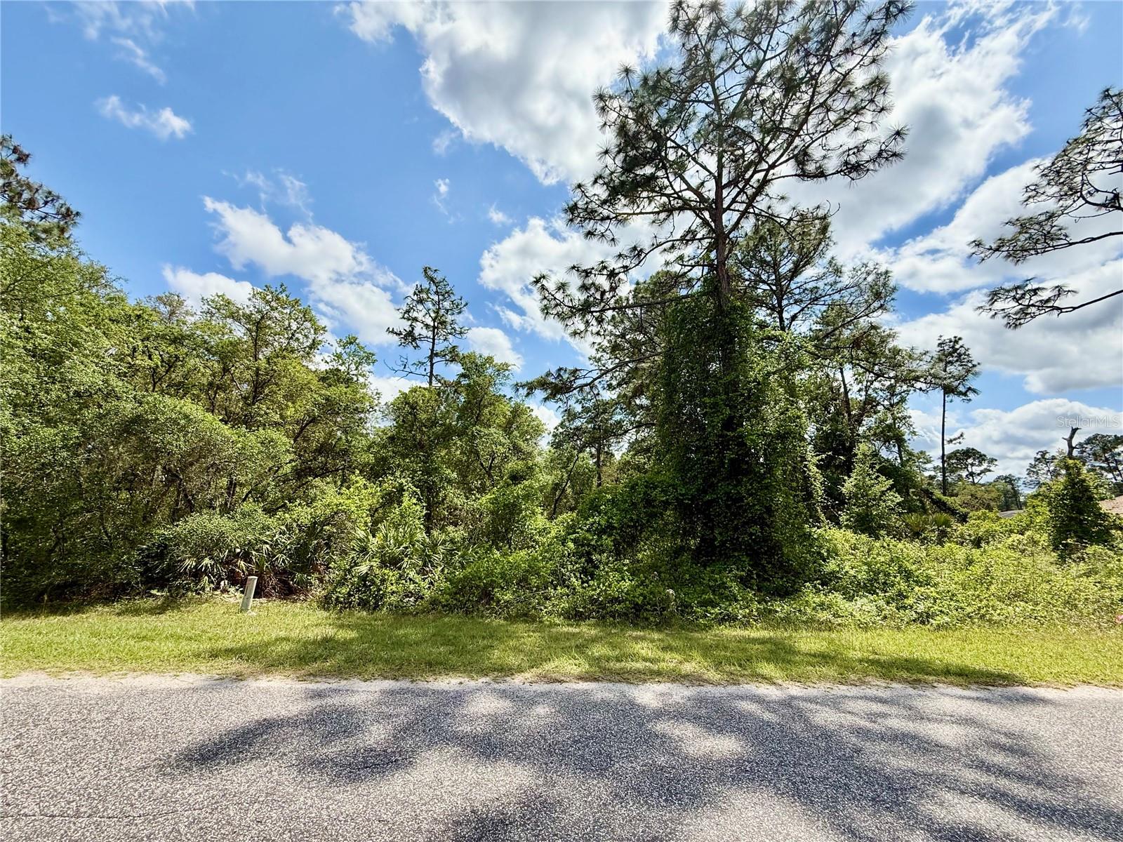 Image 3 of 22 For Lot 2 Quince Avenue