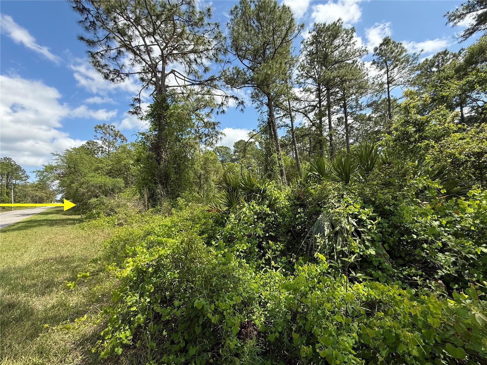 Image 7 of 22 For Lot 2 Quince Avenue