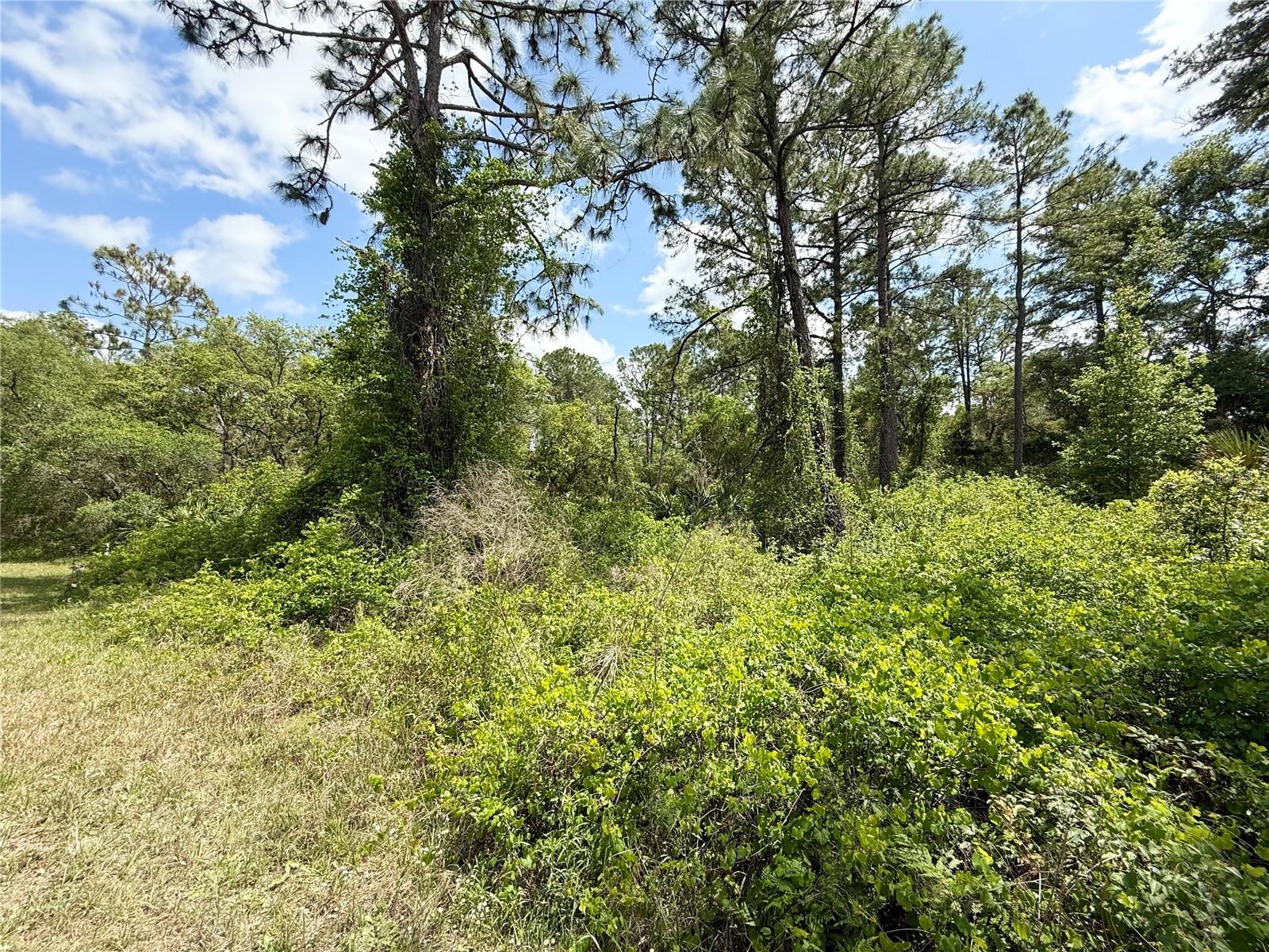 Image 8 of 22 For Lot 2 Quince Avenue