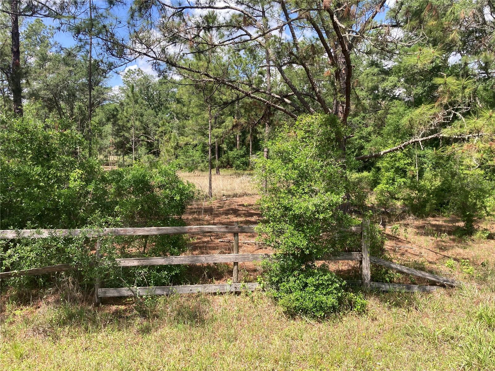 Image 2 of 9 For 3499 Burwell Road
