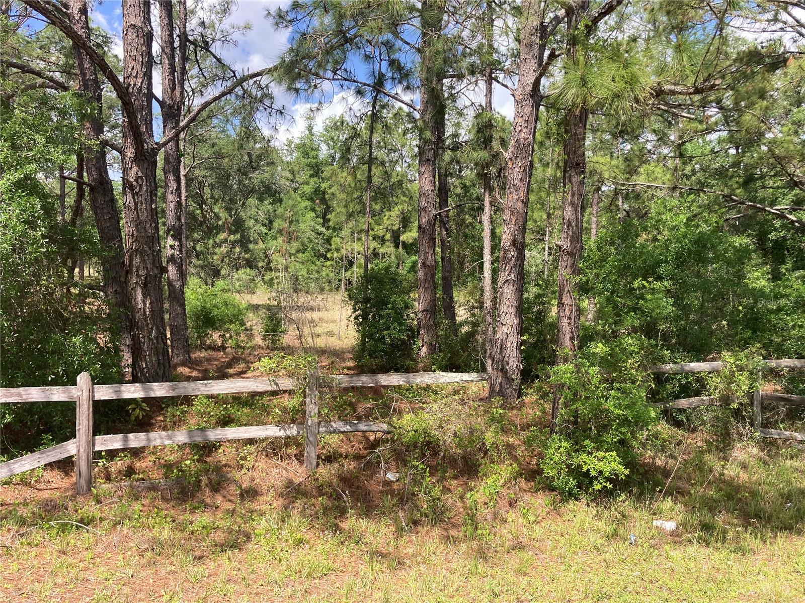 Image 3 of 9 For 3499 Burwell Road