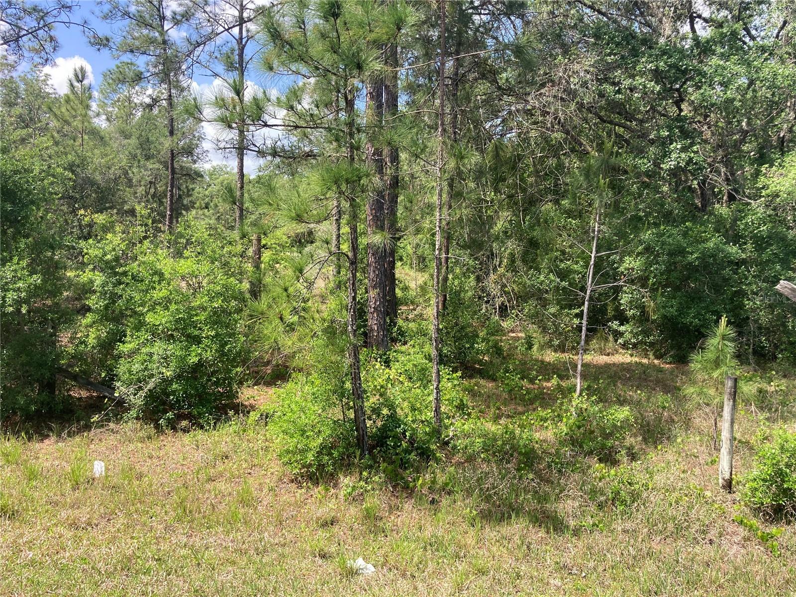 Image 4 of 9 For 3499 Burwell Road