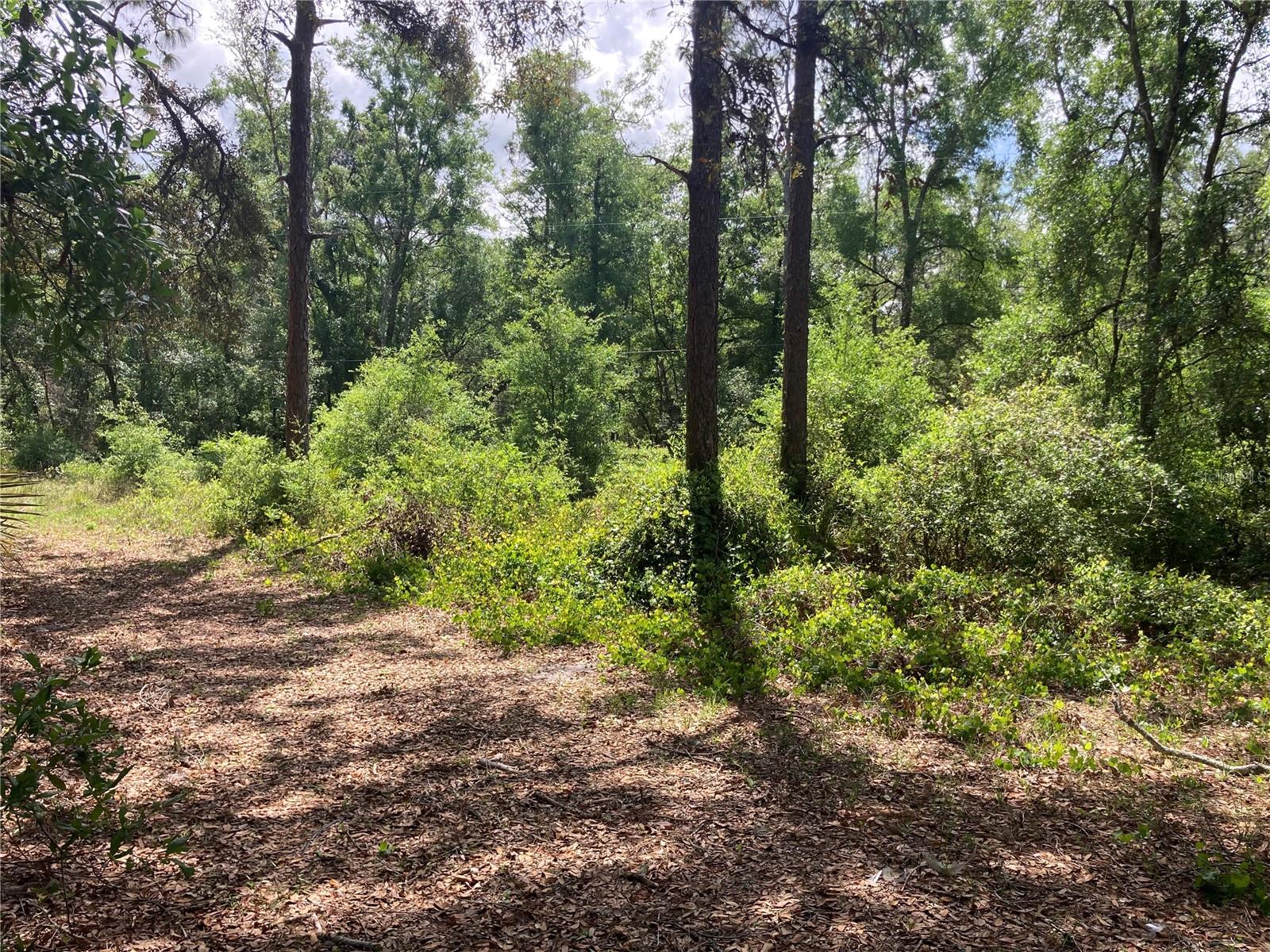 Image 6 of 9 For 3499 Burwell Road