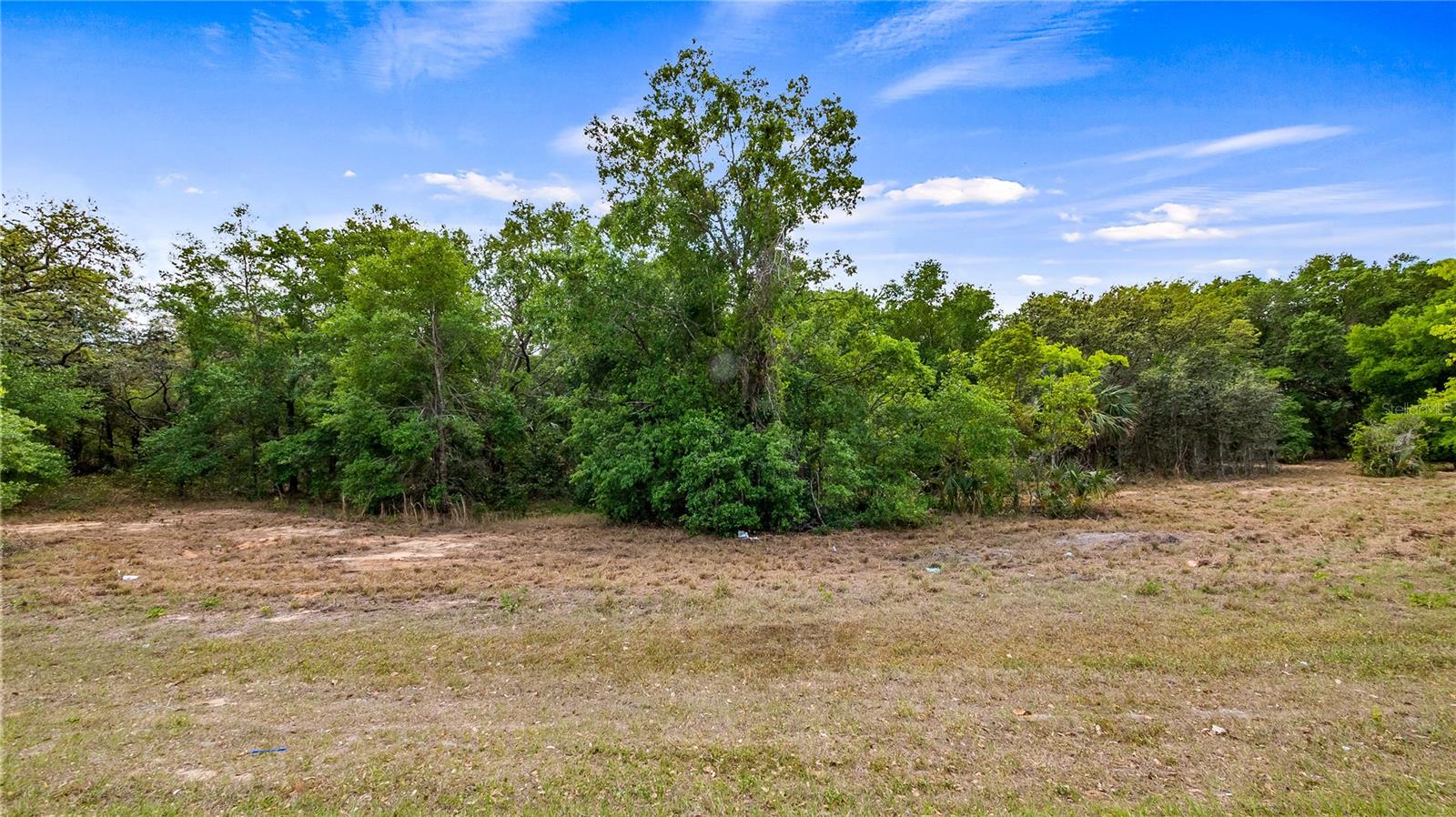 Details for County Road 455, MONTVERDE, FL 34756