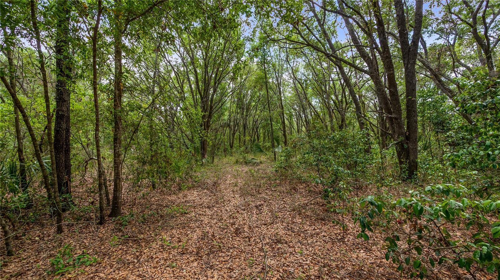 Image 10 of 20 For County Road 455