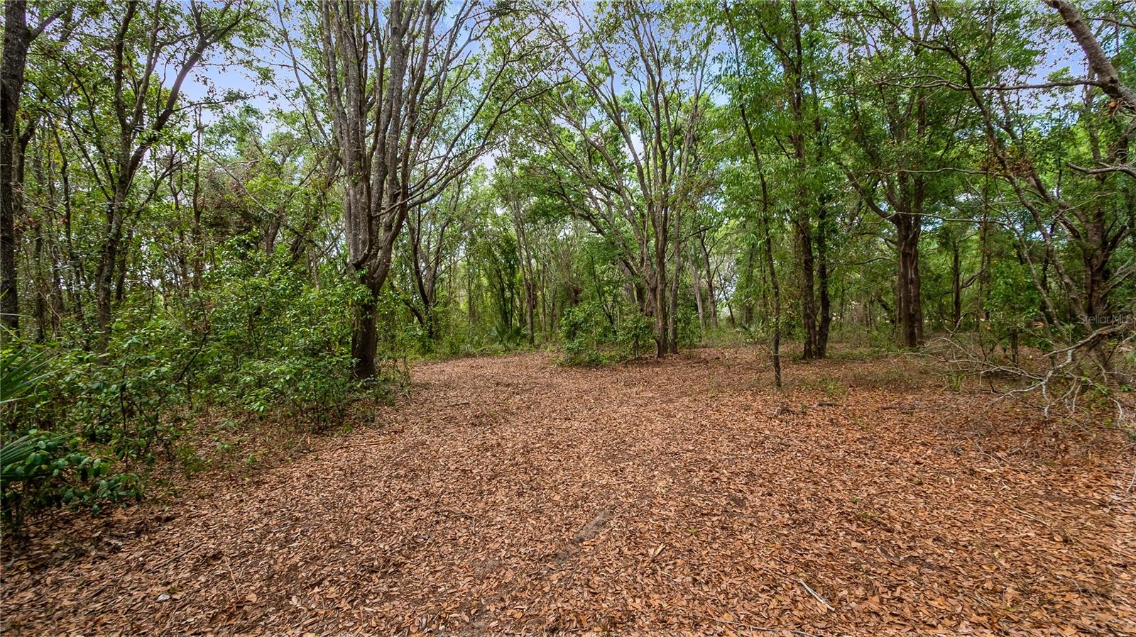 Image 11 of 20 For County Road 455