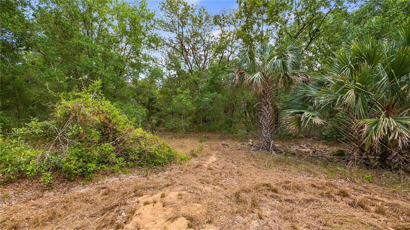 Image 12 of 20 For County Road 455
