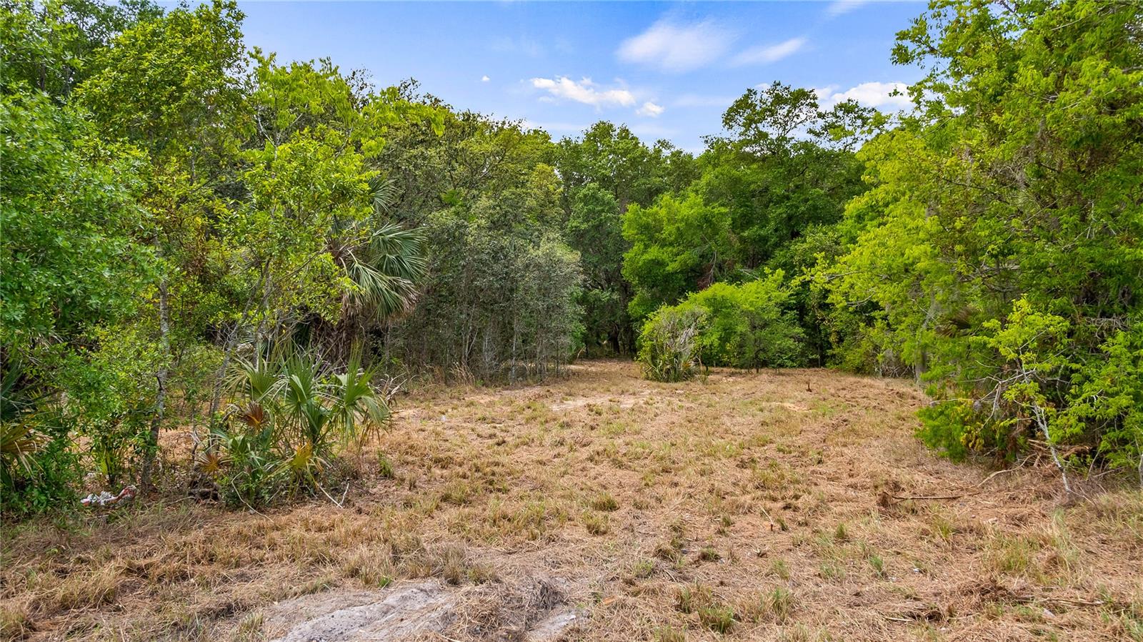 Image 4 of 20 For County Road 455