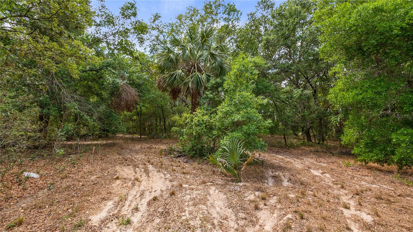 Image 6 of 20 For County Road 455