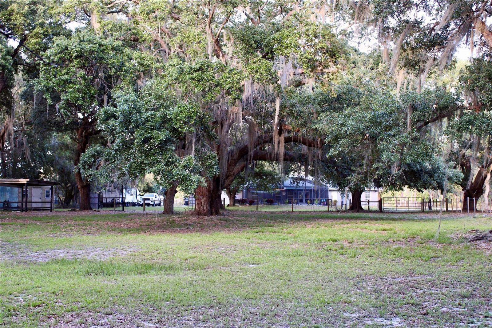 Image 39 of 44 For 1650 Sundance Drive