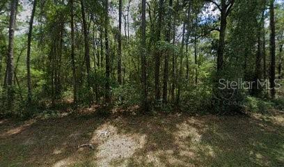 Image 10 of 16 For 9238 Athenia Drive
