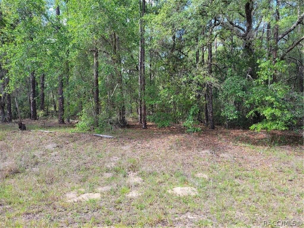 Image 14 of 16 For 9238 Athenia Drive