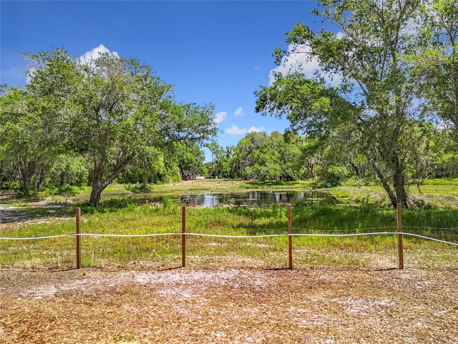 Image 13 of 19 For 39767 Cr-452