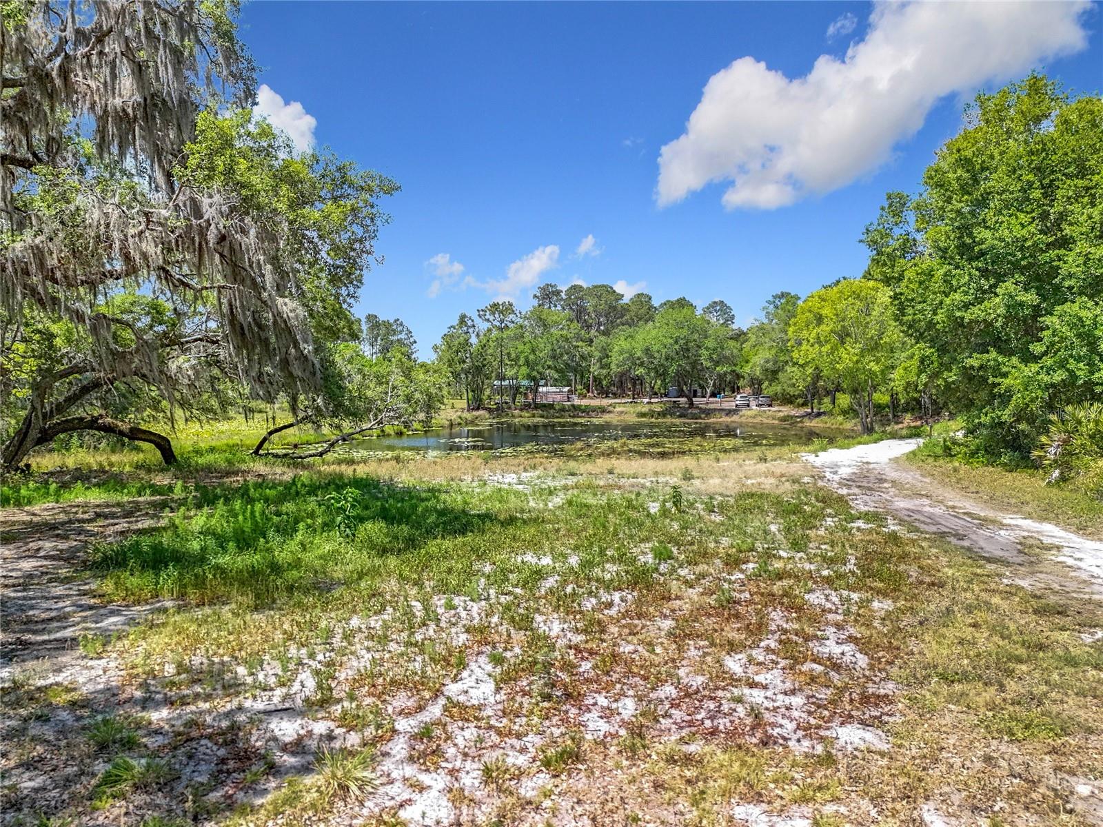 Image 6 of 19 For 39767 Cr-452