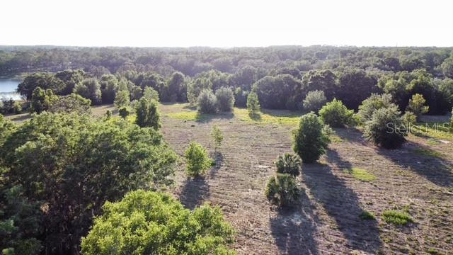 Details for  Keene Road , UMATILLA, FL 32784
