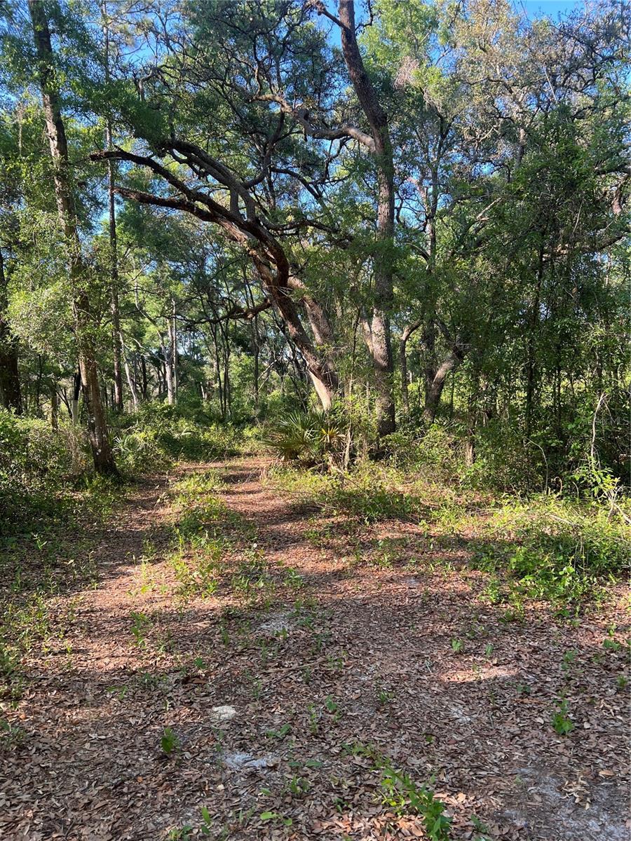 Image 2 of 6 For 118 118th Lane