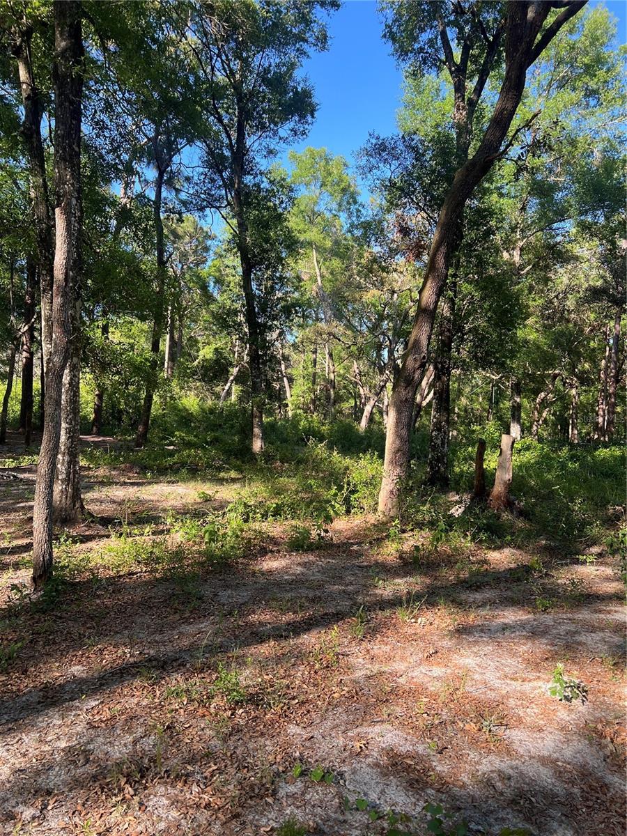 Image 4 of 6 For 118 118th Lane
