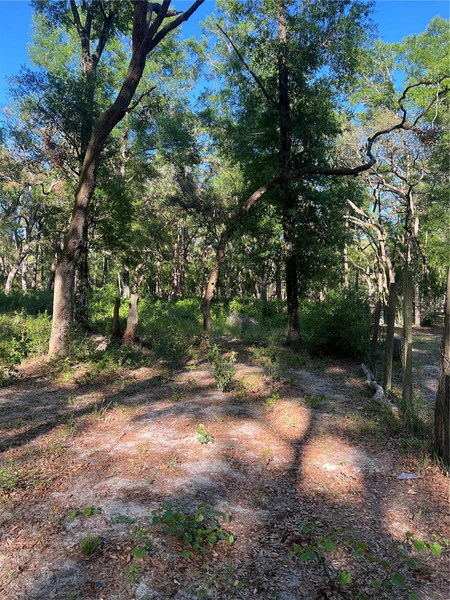 Image 6 of 6 For 118 118th Lane