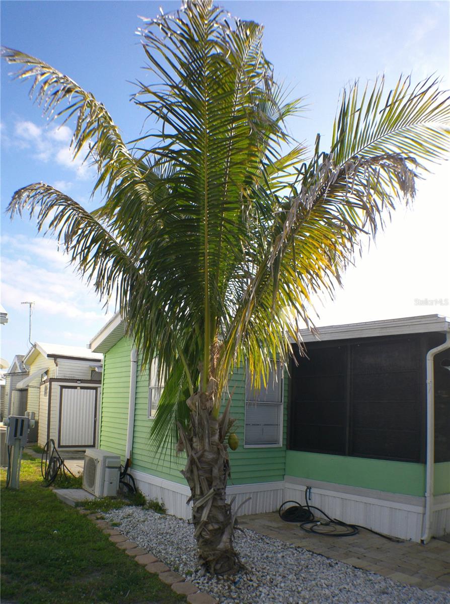 Image 22 of 33 For 1475 Flamingo Drive 333