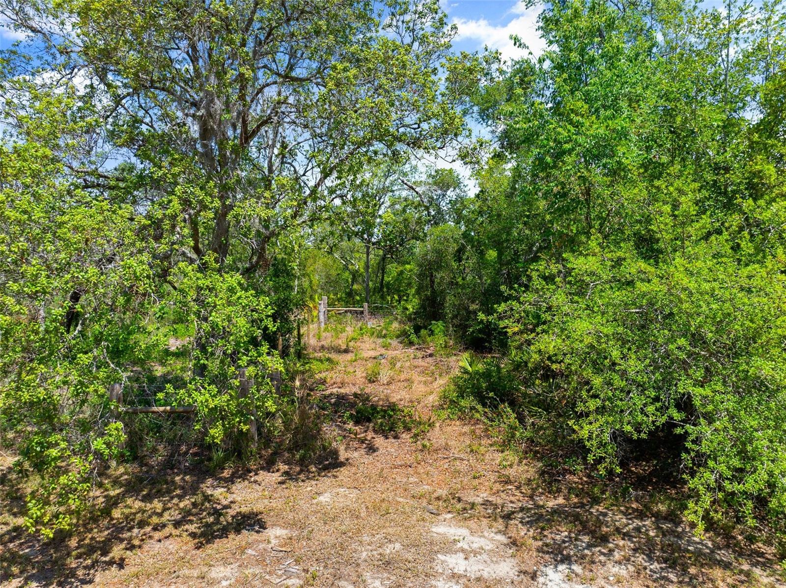 Details for Cemetery Road, UMATILLA, FL 32784