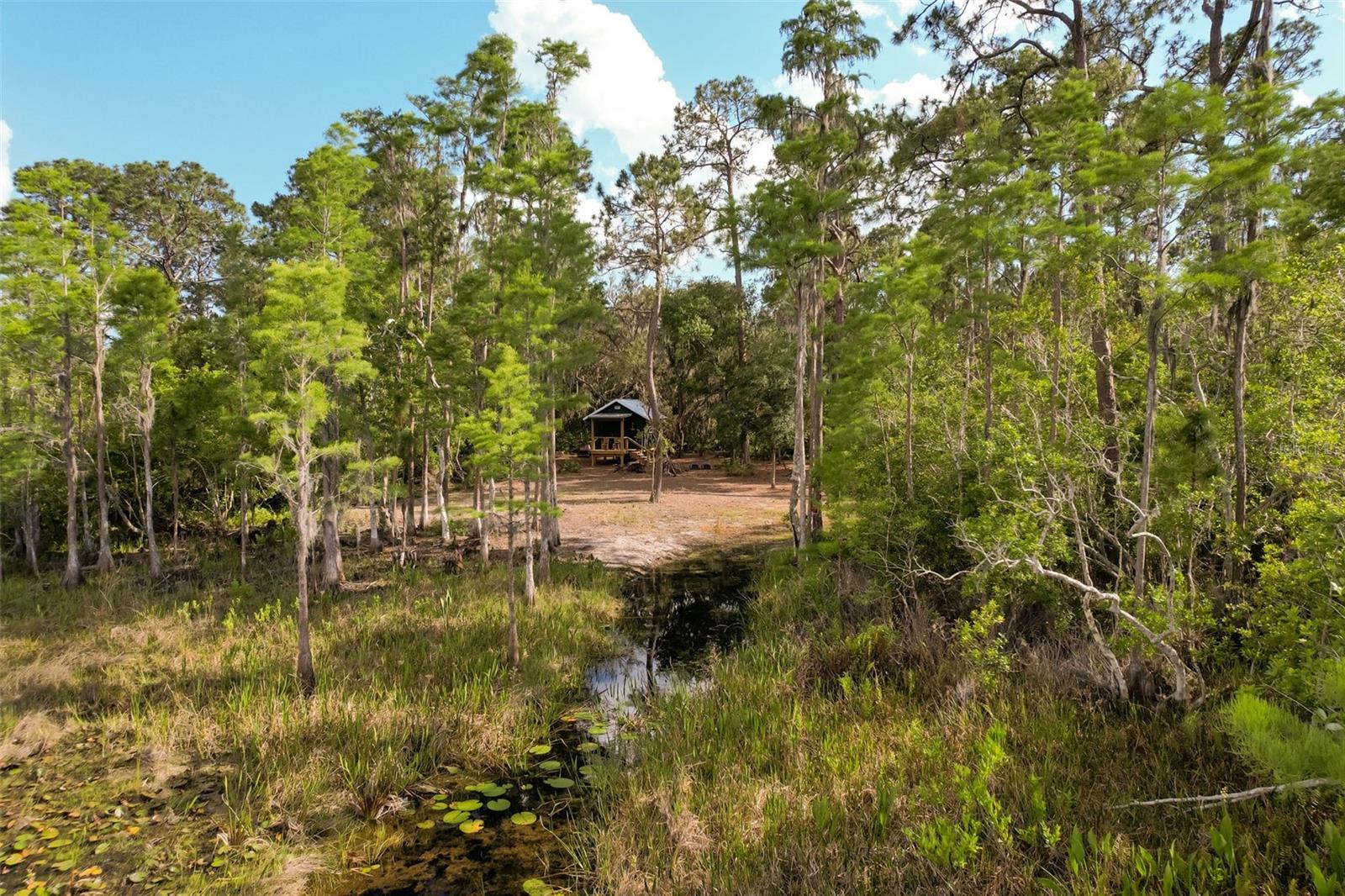Details for Adonijah Way, CLERMONT, FL 34714