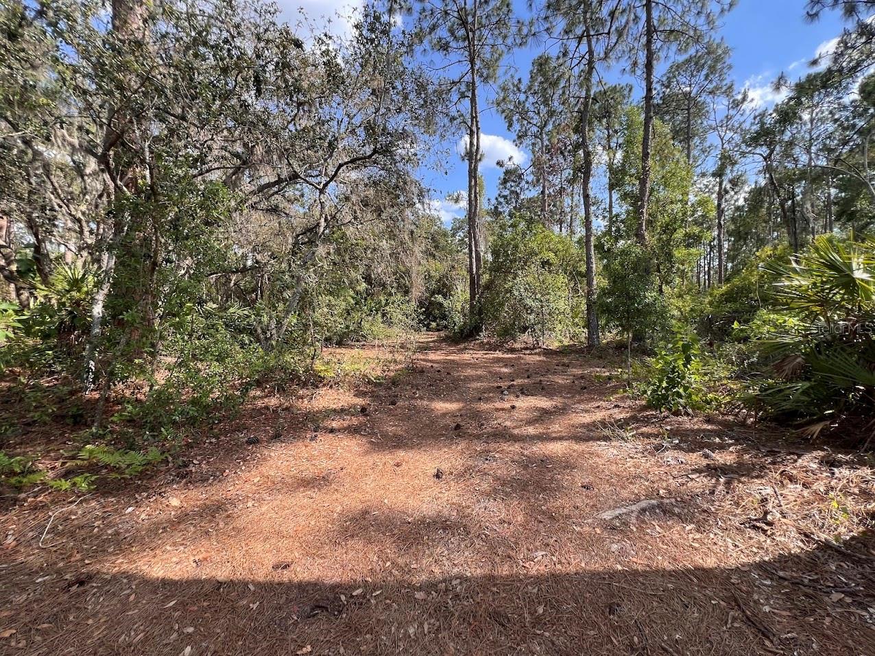 Image 15 of 28 For Adonijah Way