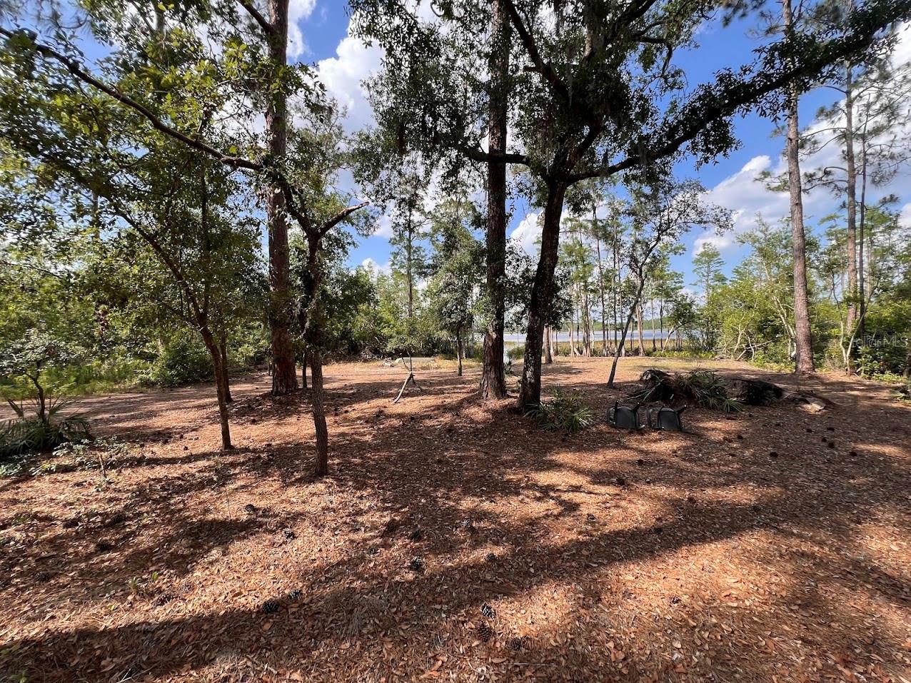 Image 17 of 28 For Adonijah Way