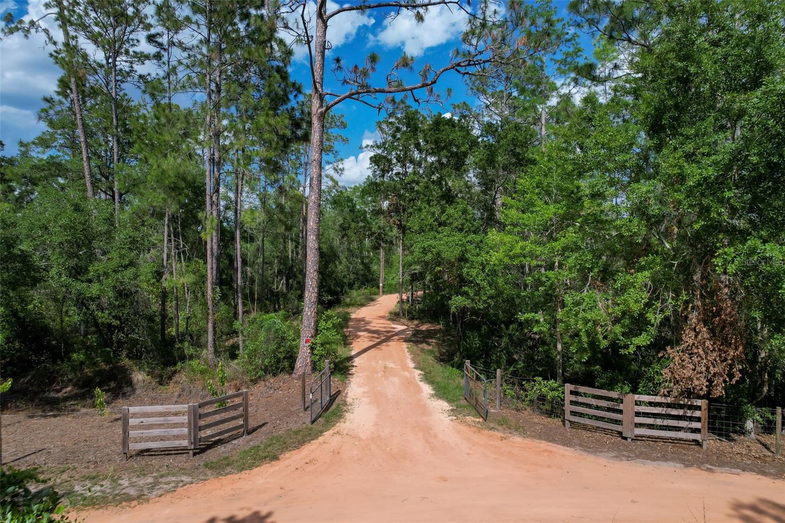 Image 6 of 28 For Adonijah Way