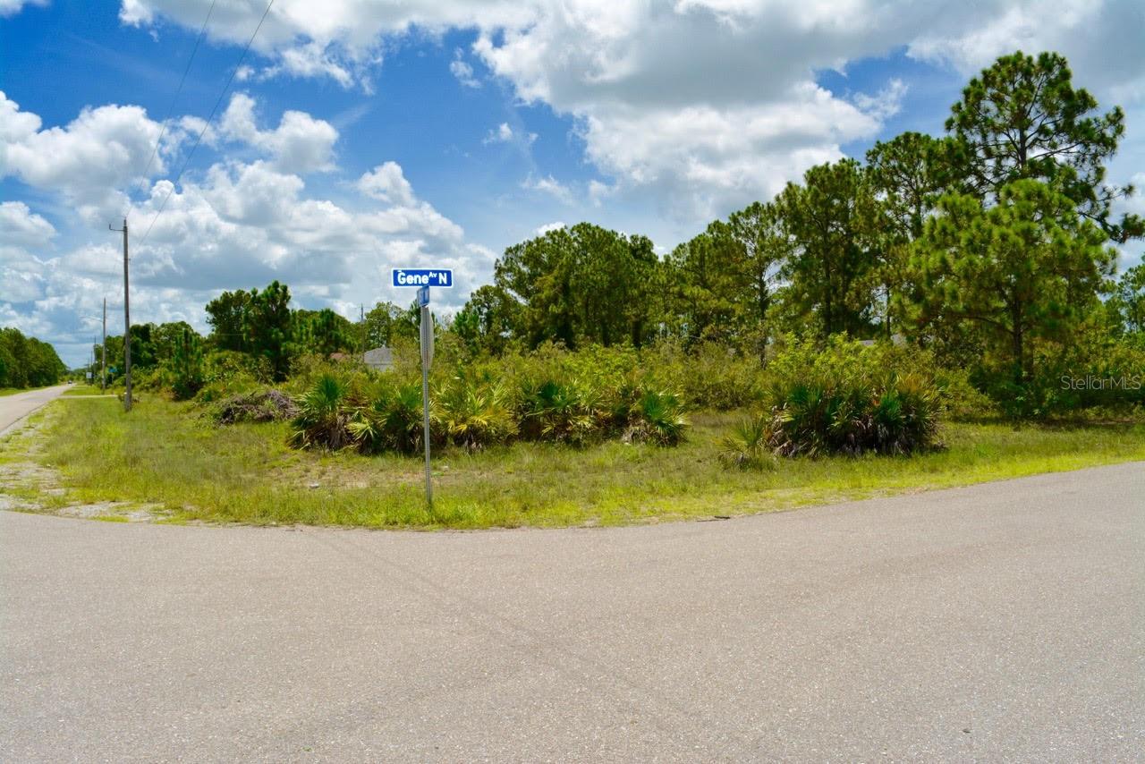 Image 3 of 14 For 2922 Gene Avenue N