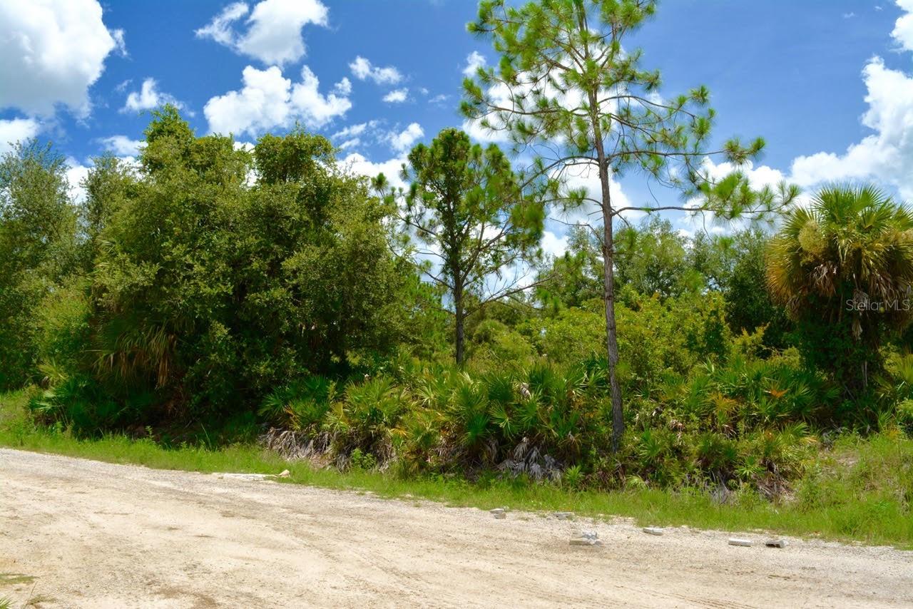 Details for 410 Thompson Avenue, LEHIGH ACRES, FL 33972