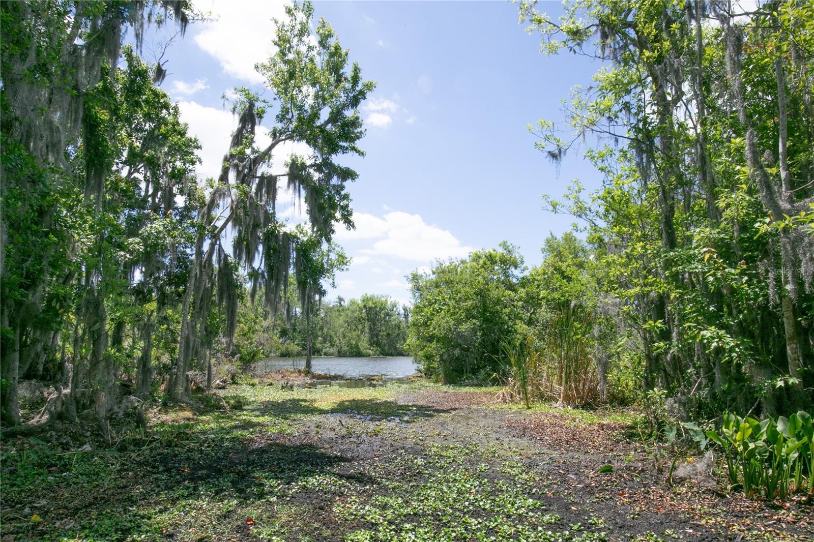Image 42 of 72 For 17728 Palm View Circle