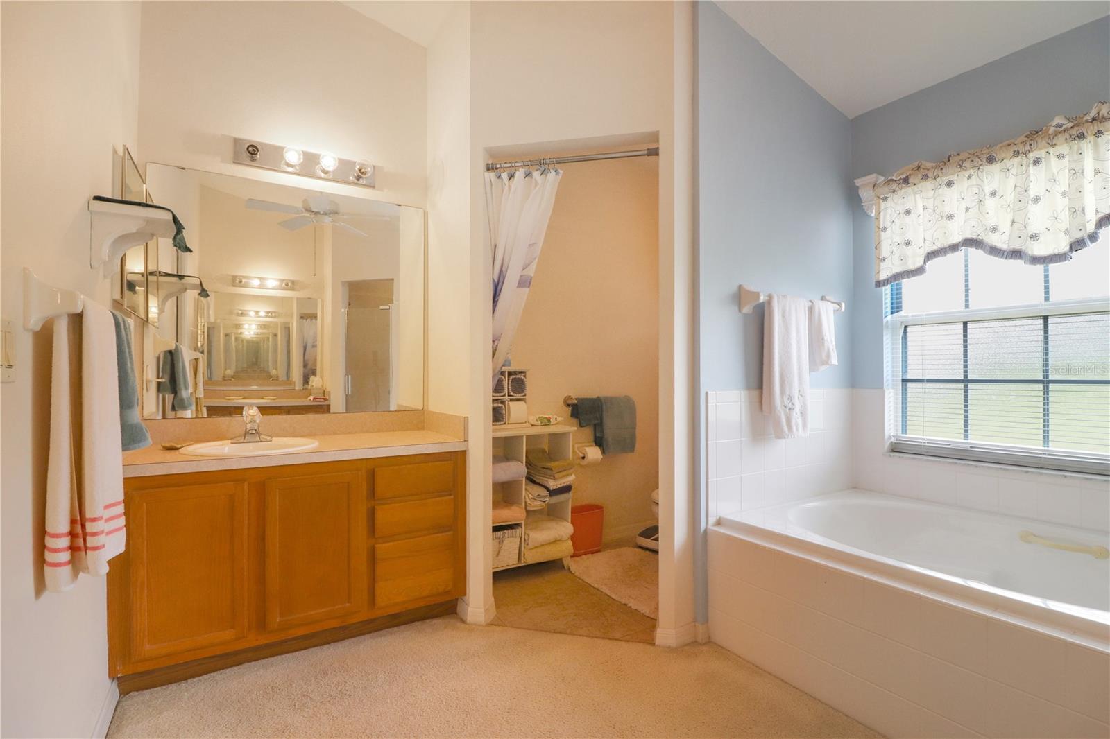 Image 11 of 22 For 25339 Crestwater Drive