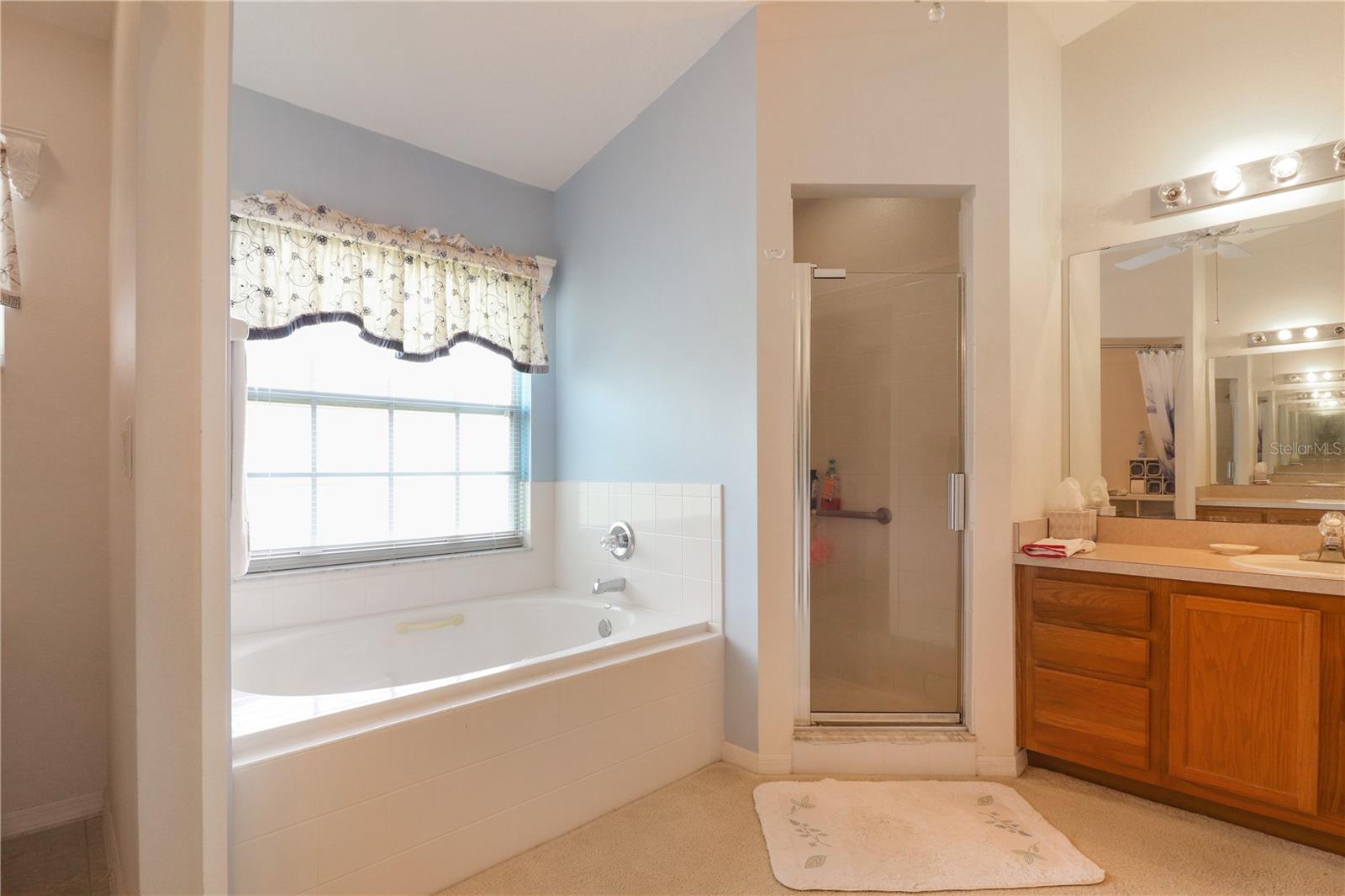 Image 12 of 22 For 25339 Crestwater Drive
