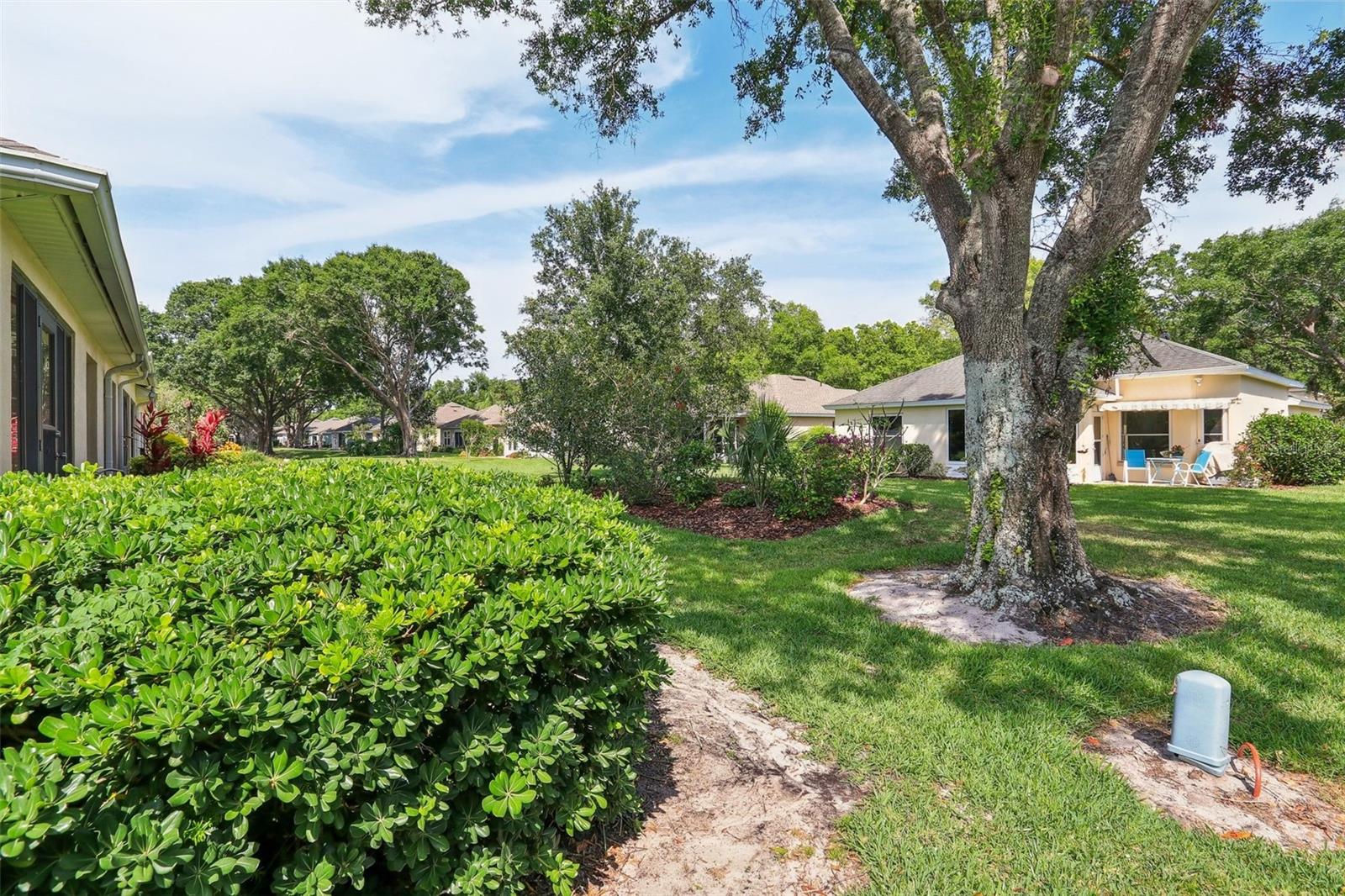 Image 34 of 48 For 256 Juniper Way