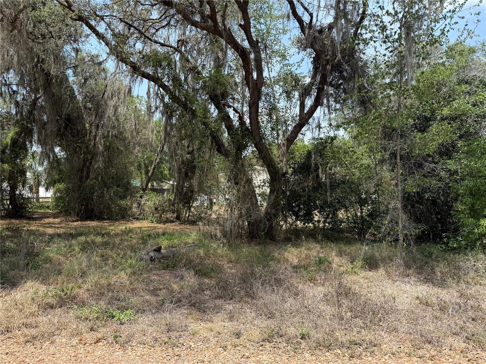 Image 5 of 7 For Vacant Land 8th Trail