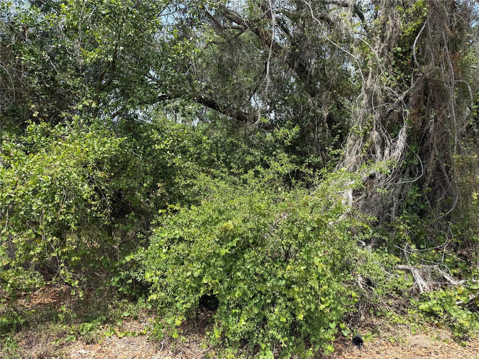 Image 7 of 7 For Vacant Land 8th Trail